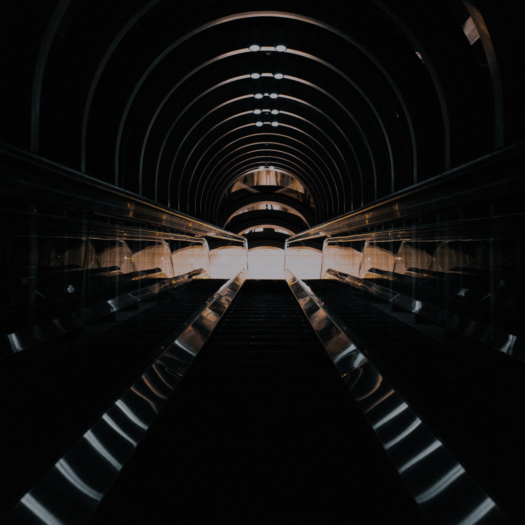 Digitale-hover