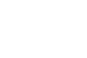 AB Mauri Wit