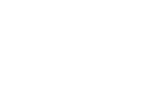 Arpafly Wit